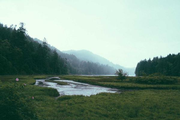 Training image: a misty river valley between fog-covered forested hills